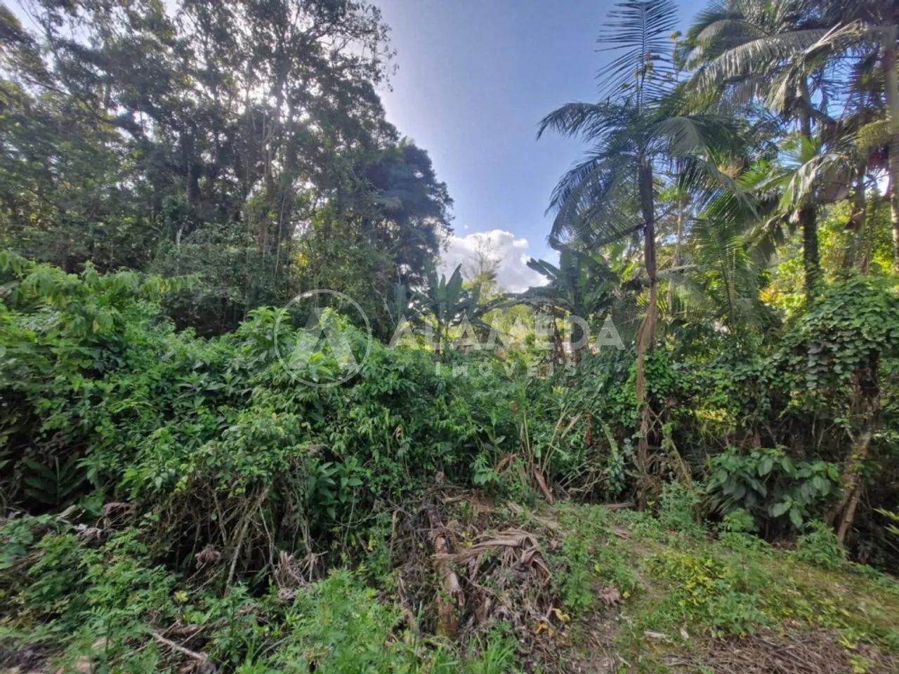 Terreno localizado próximo ao centro em transversal da Rua Pastor ...