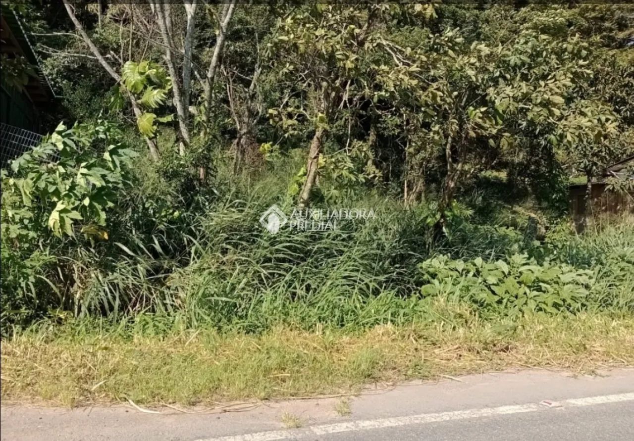 Terreno para vender na Armação, Viabilidade de Construção, Florianópolis - Foto 3