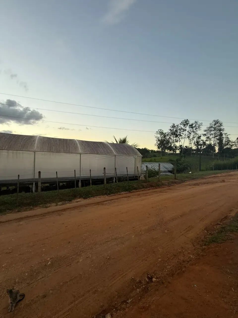 FAZENDA DE PECUÁRIA E CACAU - Foto 2