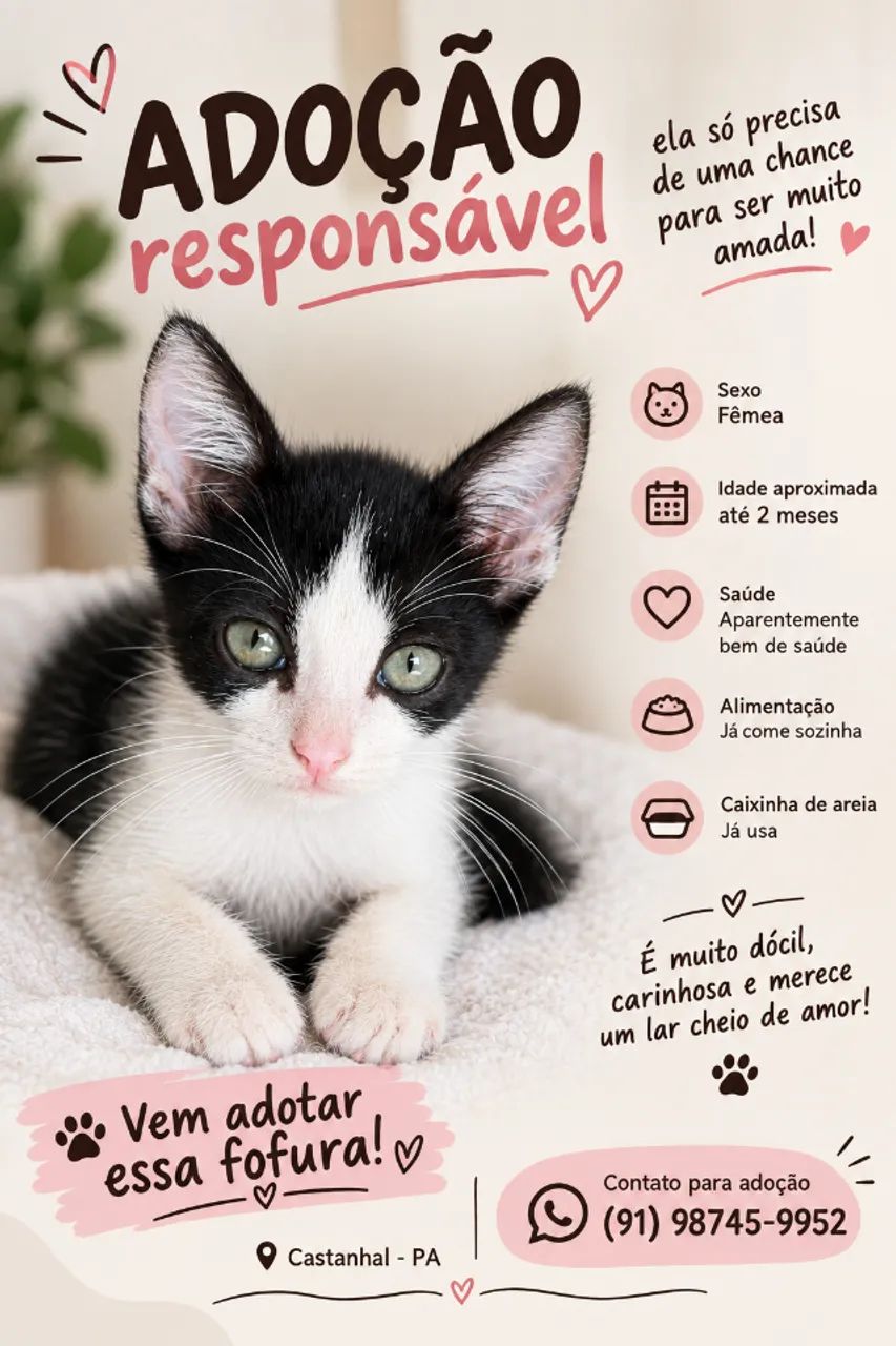 Adoção responsável 