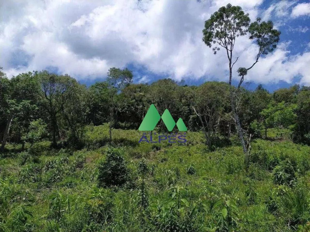 Chácara com Água e Próximo a BR 376 em Tijucas do Sul - Foto 2