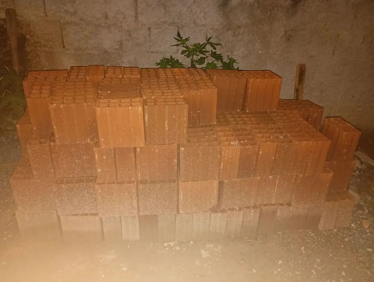 Tijolos65580435455235122