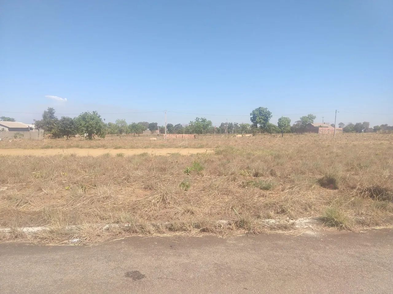 Lote 