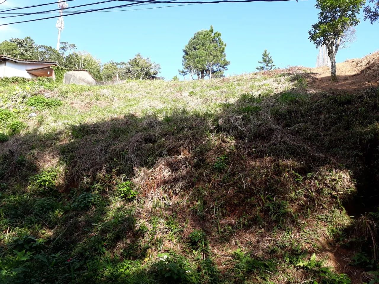 Terreno com exelente vista  - Foto 5