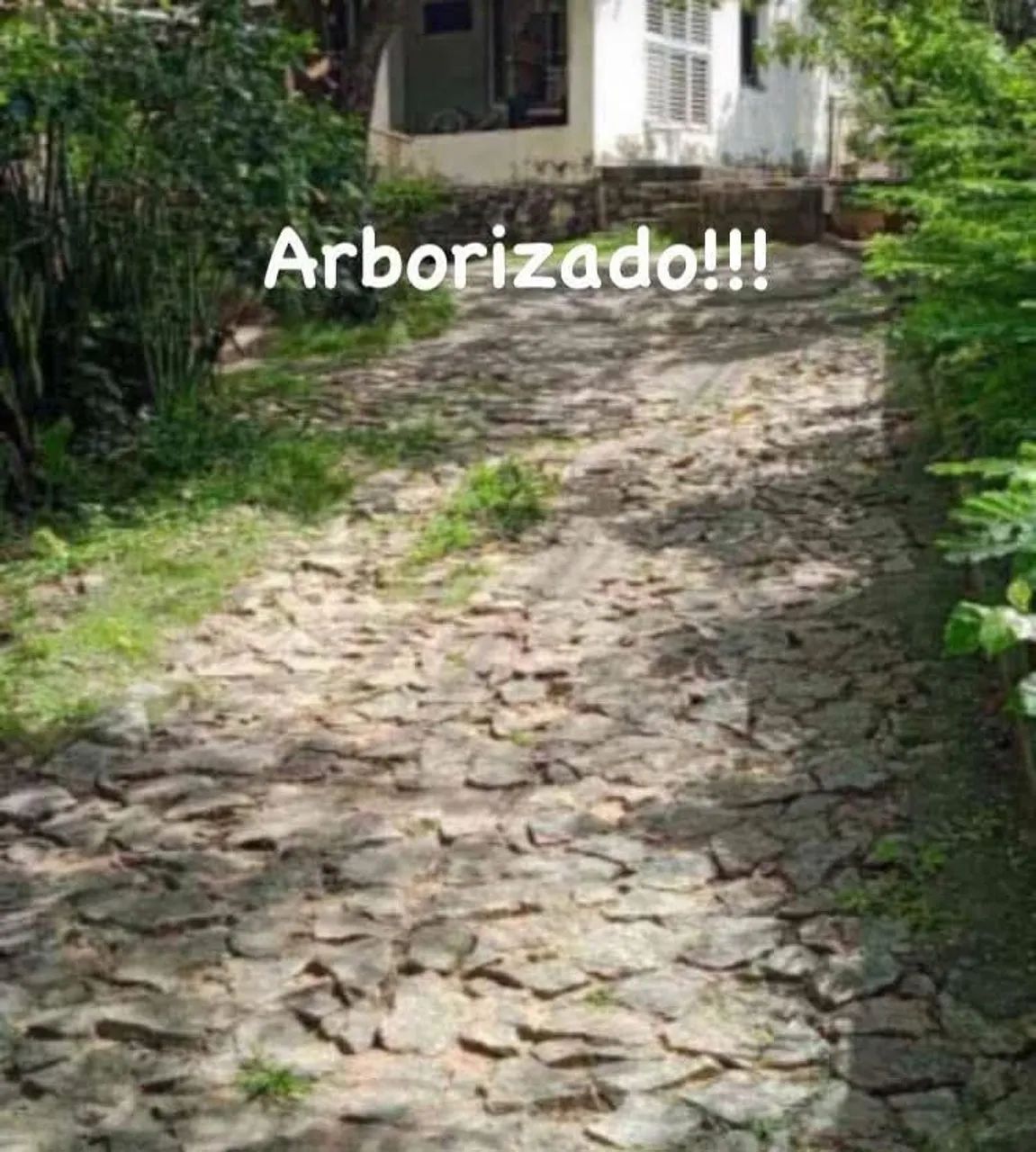 Sítio na serra da taquara  - Foto 2
