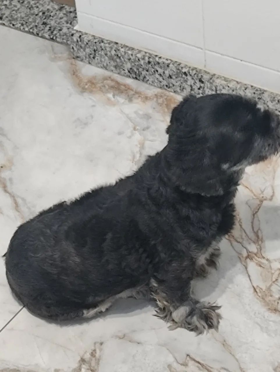 Doação  - Foto 3