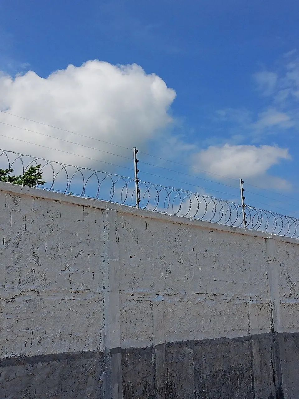 Cerca elétrica  - Foto 3