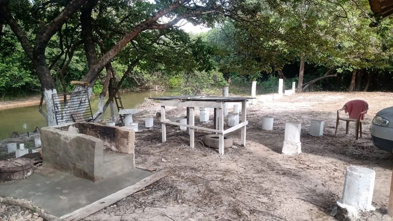 Vendo Chácara/ Sitio - Foto 5
