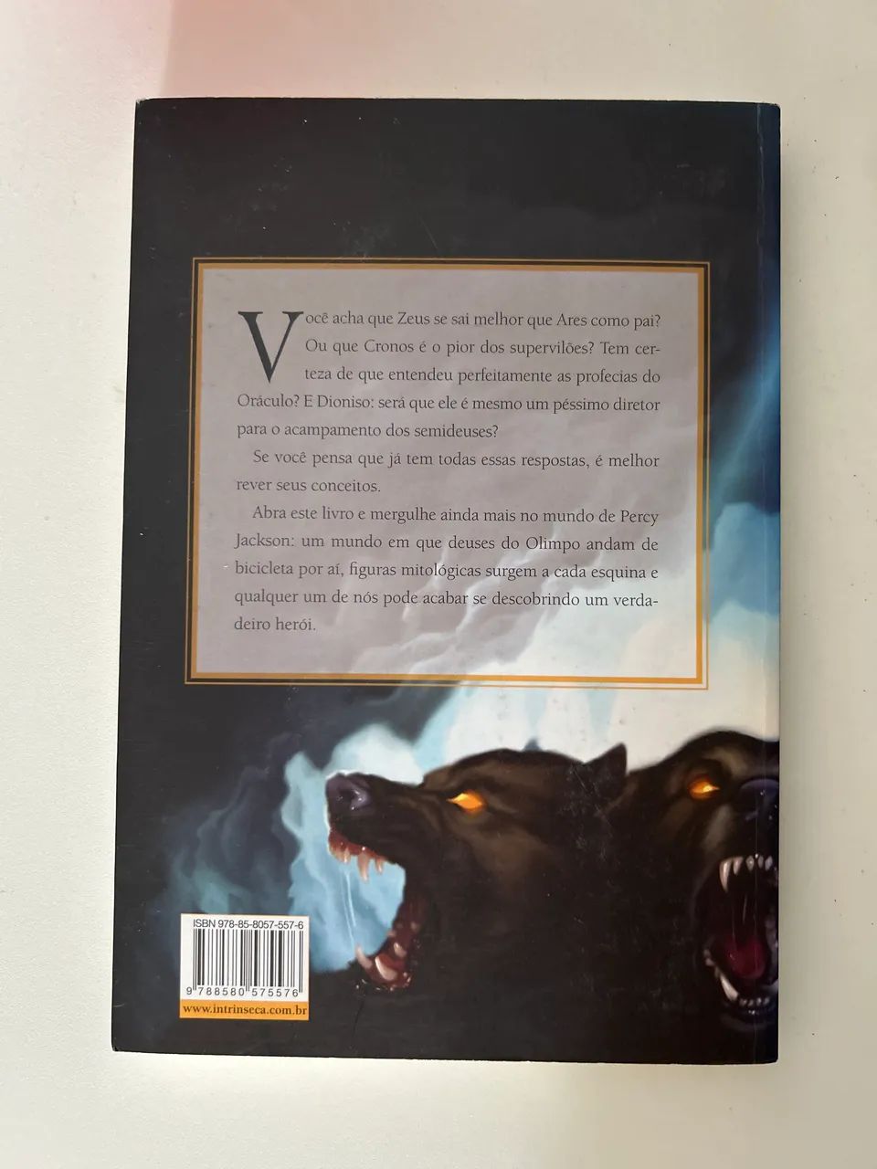 Livro SemiDeuses e Monstros  - Foto 2