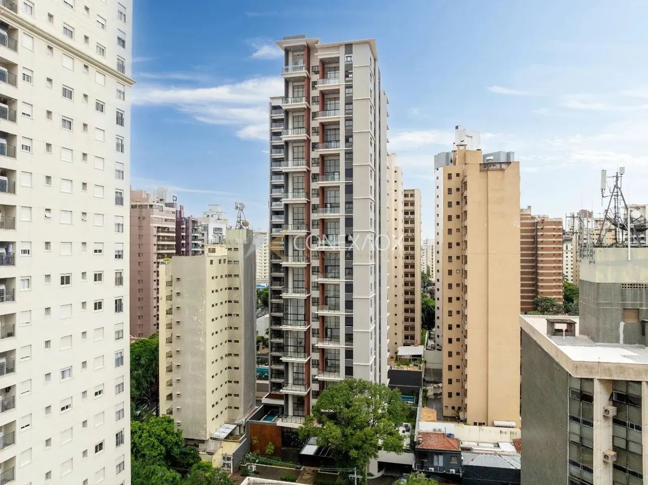 apartamento - Cambuí - Campinas - Foto 3