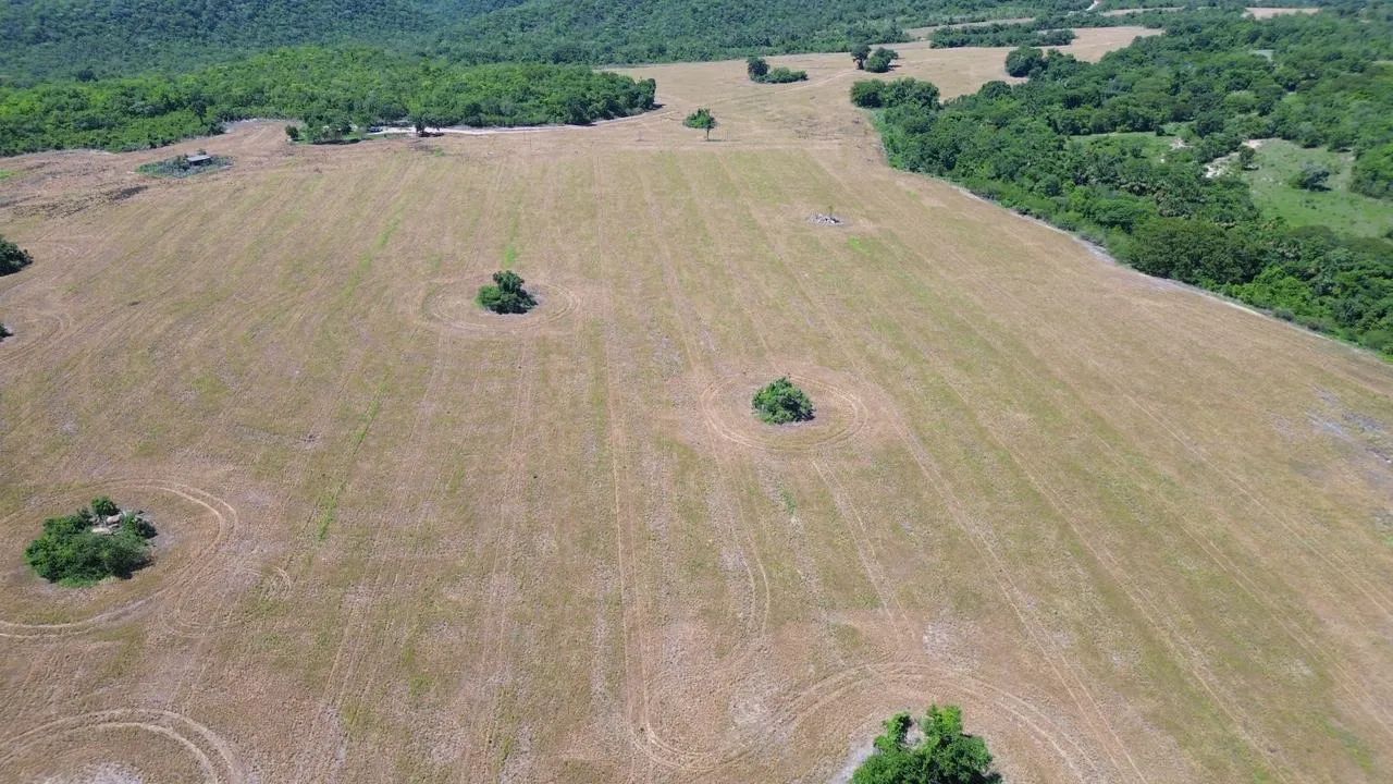 Fazenda Em Jaupaci/goias  - Foto 5