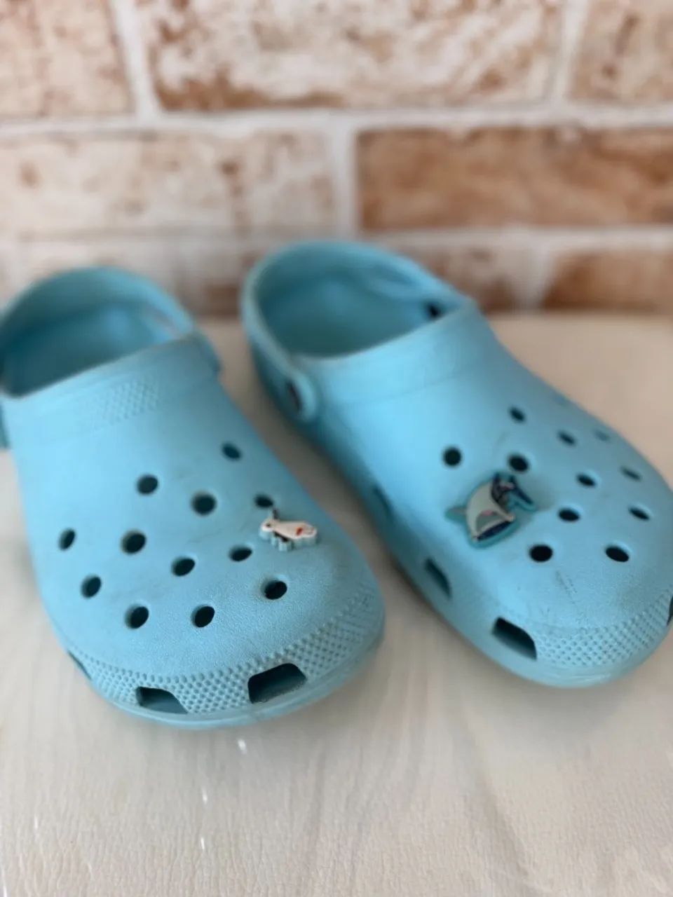 Crocs Classic Clog com dois jibbitz