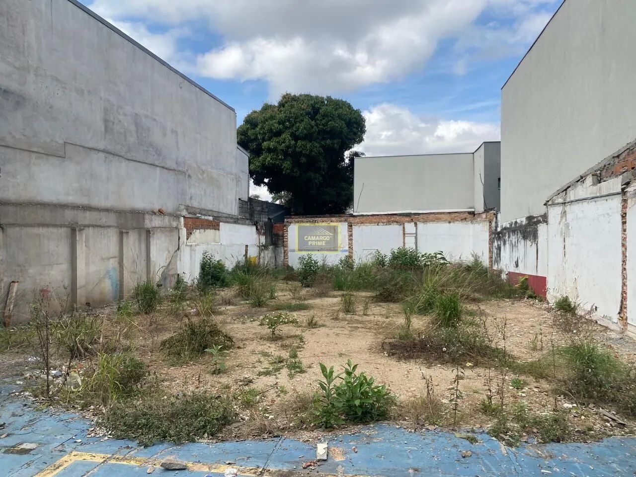 Terreno Para Locação Na Rebouças - Foto 5