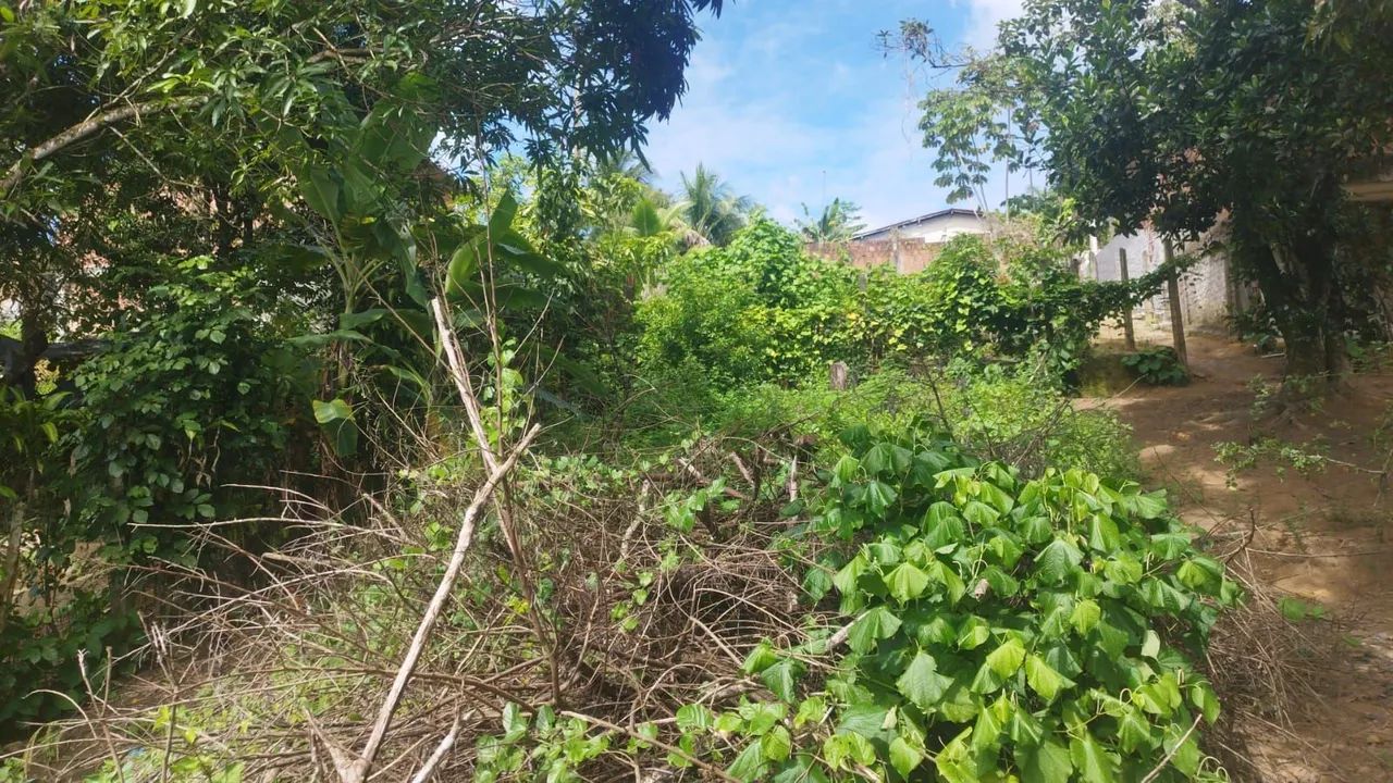 Terreno localizado em Caetés 1