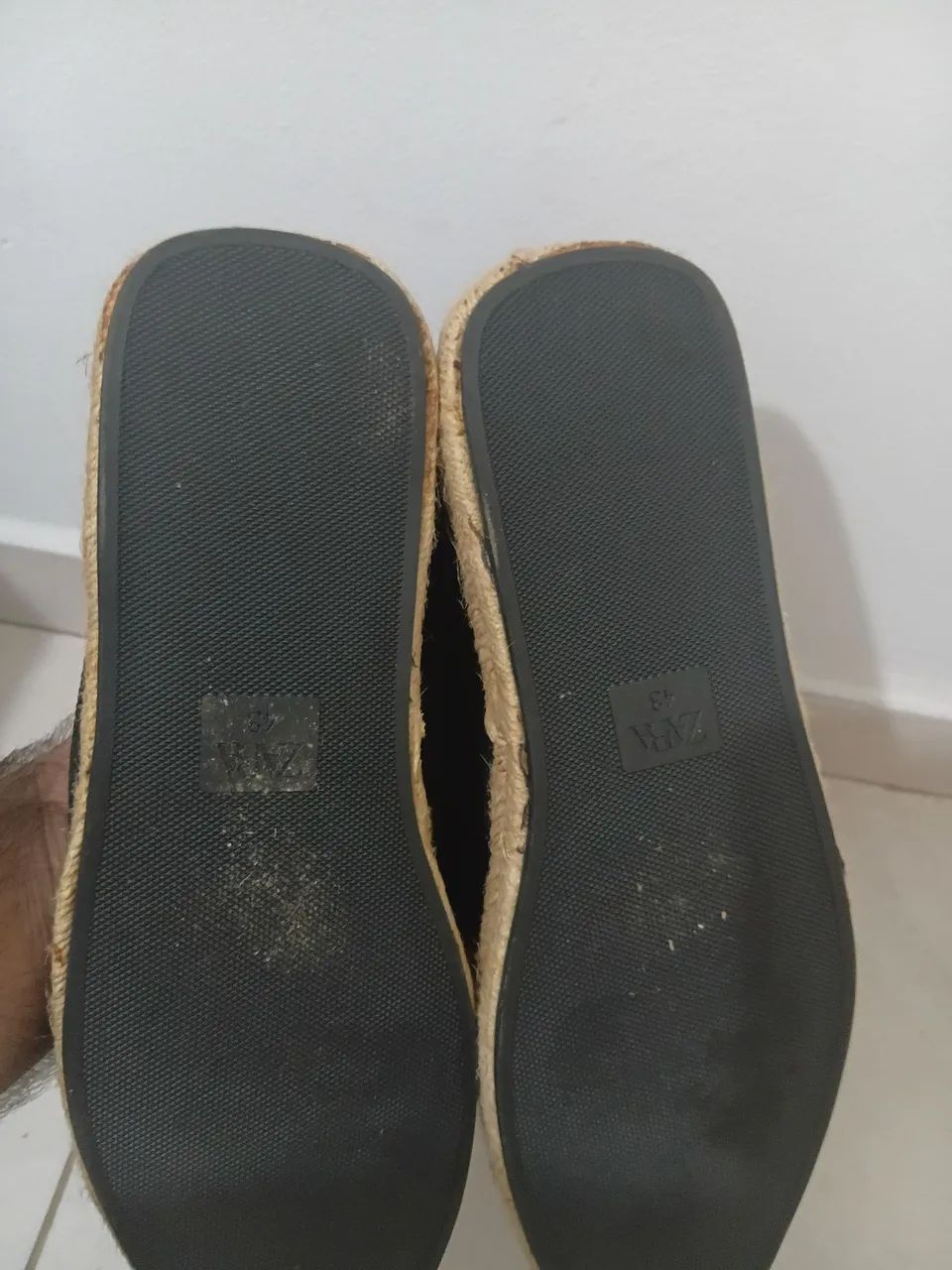 Alpartaga zara