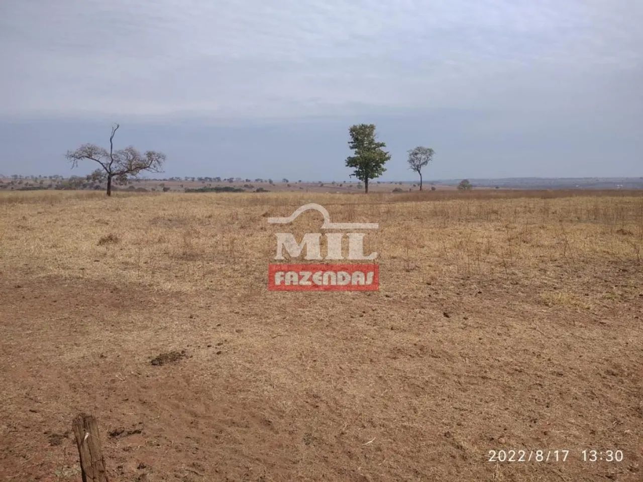Fazenda em Santa Vitória - MG - 2.720 Há - Foto 2