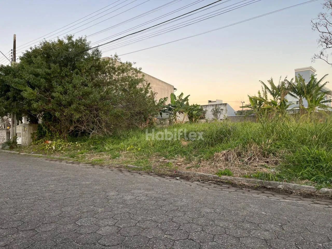 Terreno à venda, 720 m² - Carianos - Florianópolis/SC - Foto 5