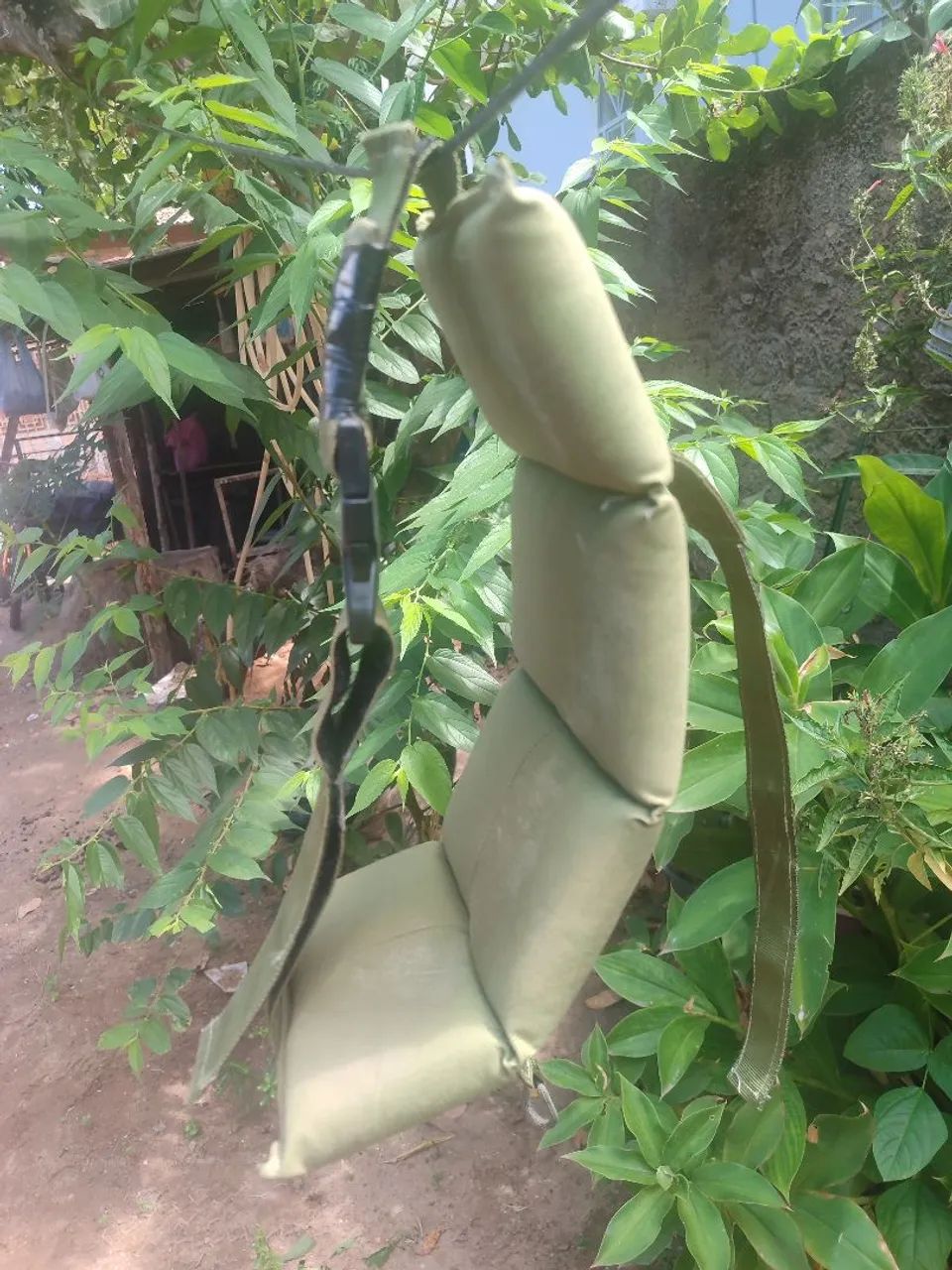 Barrigueira Militar - Foto 2