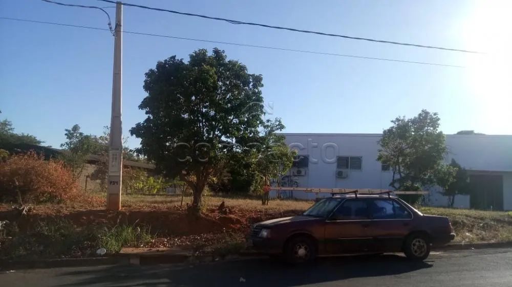 Comercial Barracão em Cedral - Foto 3