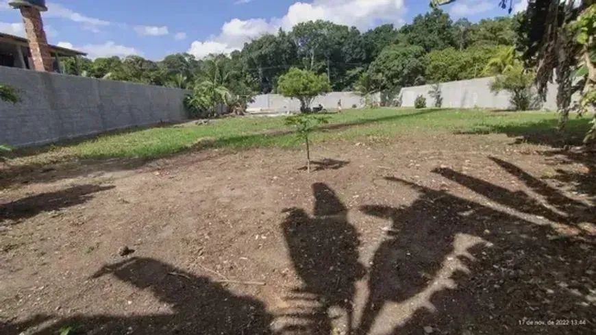 terreno murado em aldeia - Foto 5