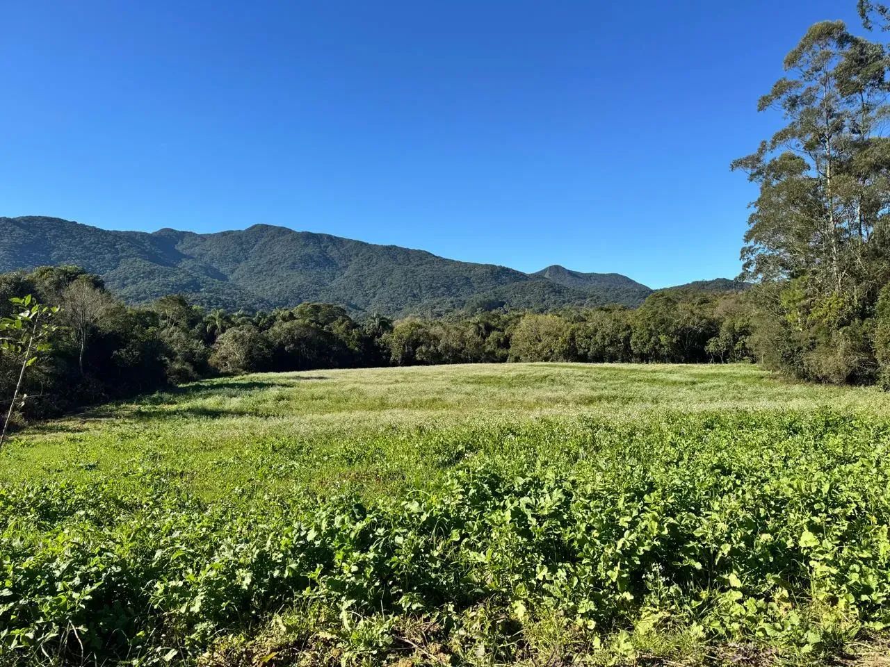 Sitio em Santo Amaro da Imperatriz - SC