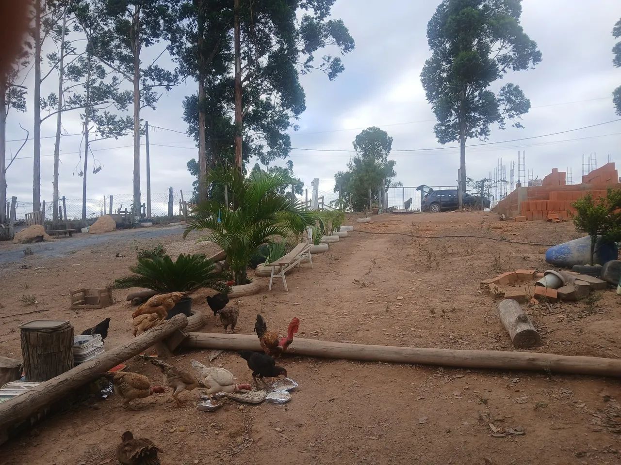Vendo chácara Jardim maria loiza 