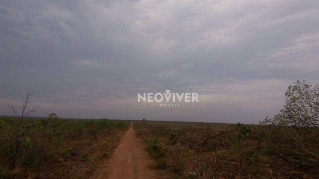 Fazenda campo belo! - Foto 11