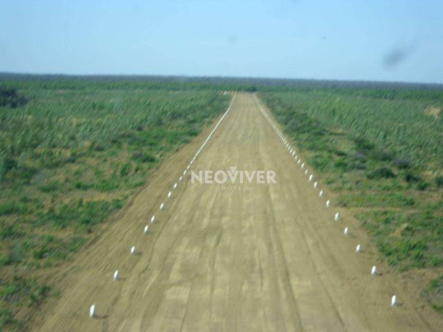 Fazenda campo belo! - Foto 6