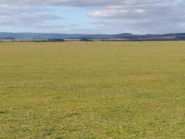 A Fazenda - Foto 2