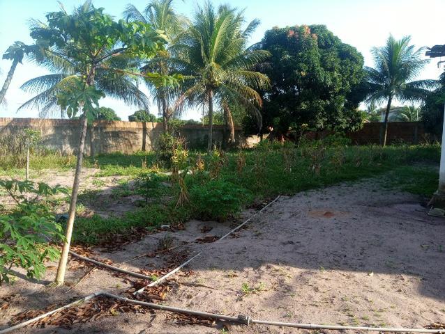 Granja - Foto 12