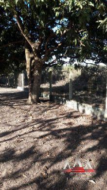 Chácara à venda em Pedra 90, Cuiabá cod:602 - Foto 16