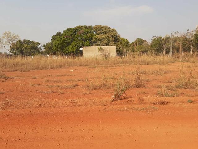 Vendo dois terrenos na Vila sucuri 11×30 cada - Foto 2