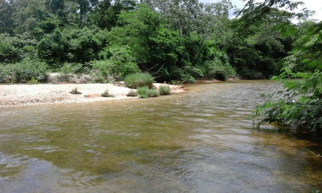 Vendo Loteamento na Recanto Paiaguás atras do Belvedere Ultimas unidades - Foto 15