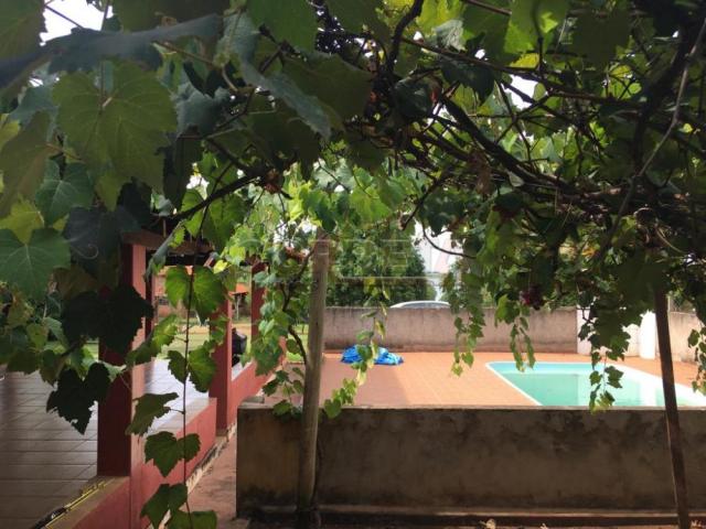 Sítio à venda em Engenheiro taveira, Aracatuba cod:V72161 - Foto 9
