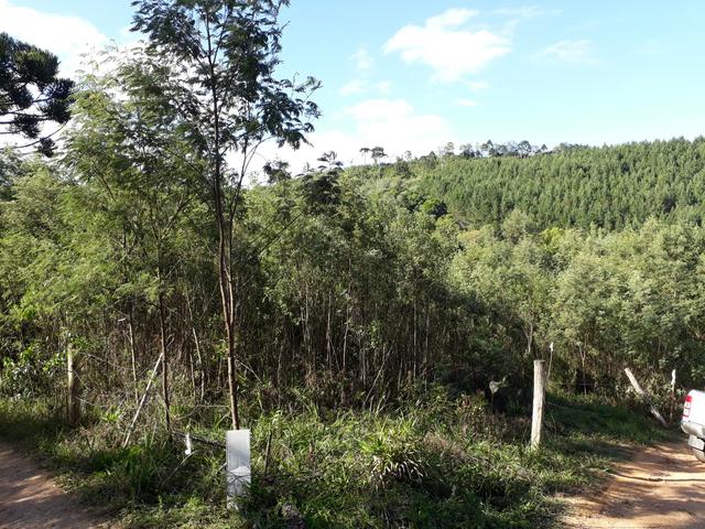 TORRANDO !!! LINDA CHÁCARA de 2.500m2° EM BOCAIUVA - Foto 13