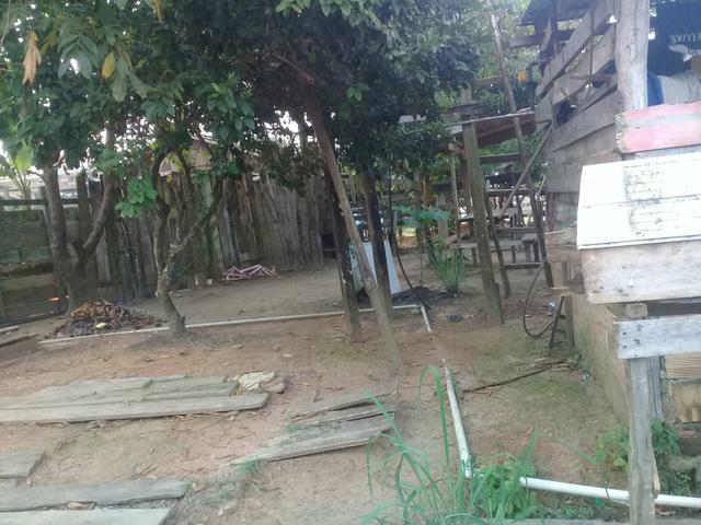Vendo casa no município de autazes - Foto 5