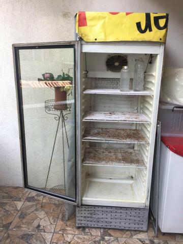 Freezer vertical