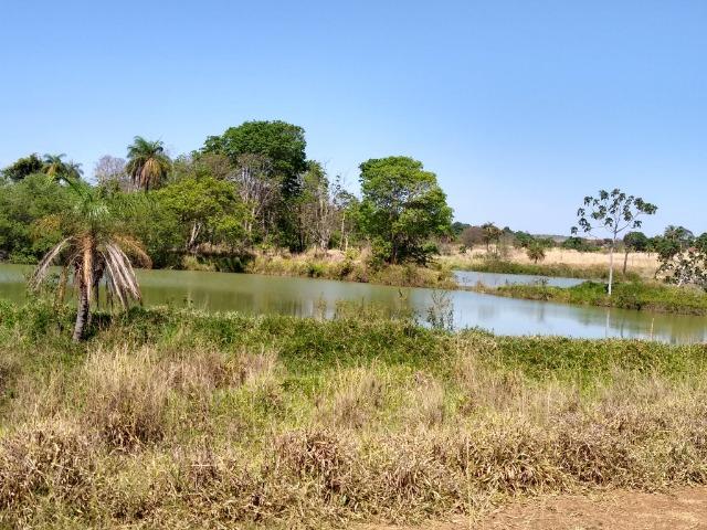 Fazenda localizada no Bezerra - Formosa/GO - Foto 4