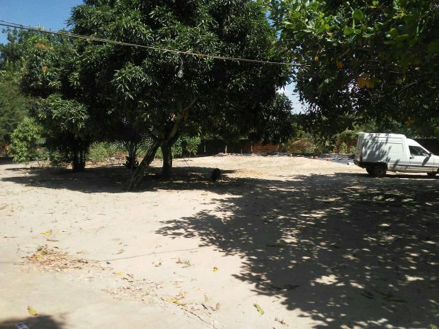 Sítio na matinha - Foto 4