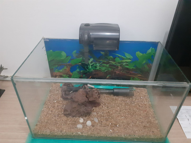 Aquário 70 litros - Foto 4