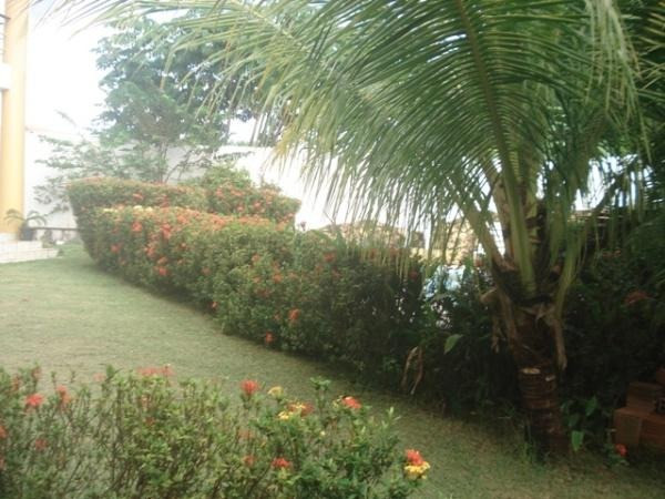 Casa com 3 quartos - Foto 5
