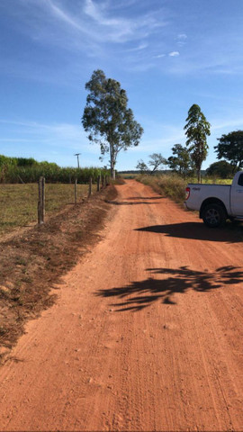 R$ 29.000 Chácaras Em Piracanjuba - Foto 6