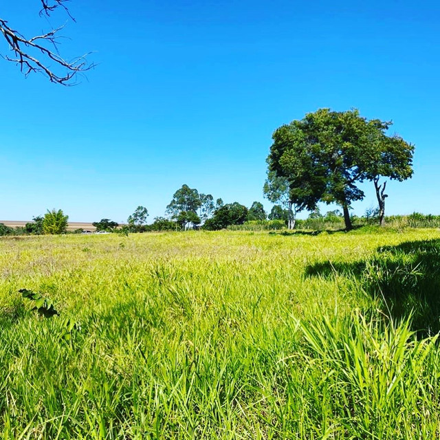 Chácara com casa em piracanjuba - Foto 12