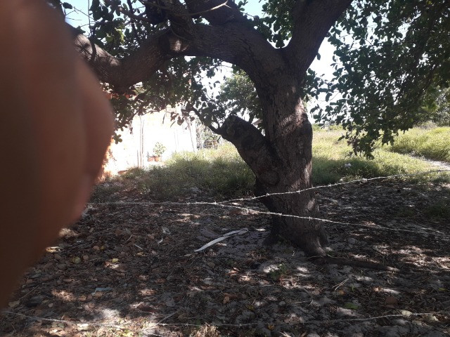 Terreno 10 x 30 m R$ 35.000,00 - Foto 5