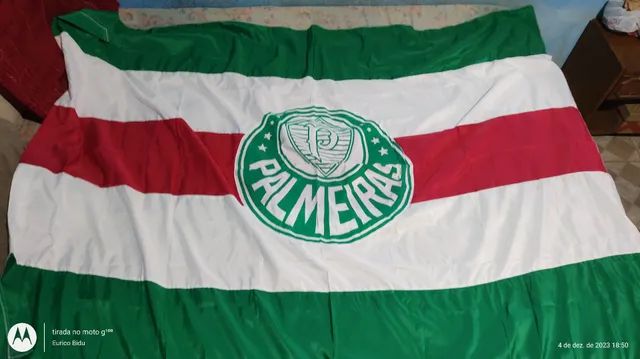 Sociedade esportiva palmeiras bandeira frete grátis clube de futebol  bandeira 1.5 * 5ft (45*150cm) publicidade decoração bandeiras yhx0494 -  AliExpress