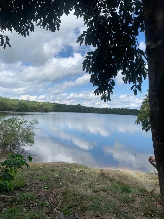 foto - Manaus - Alvorada