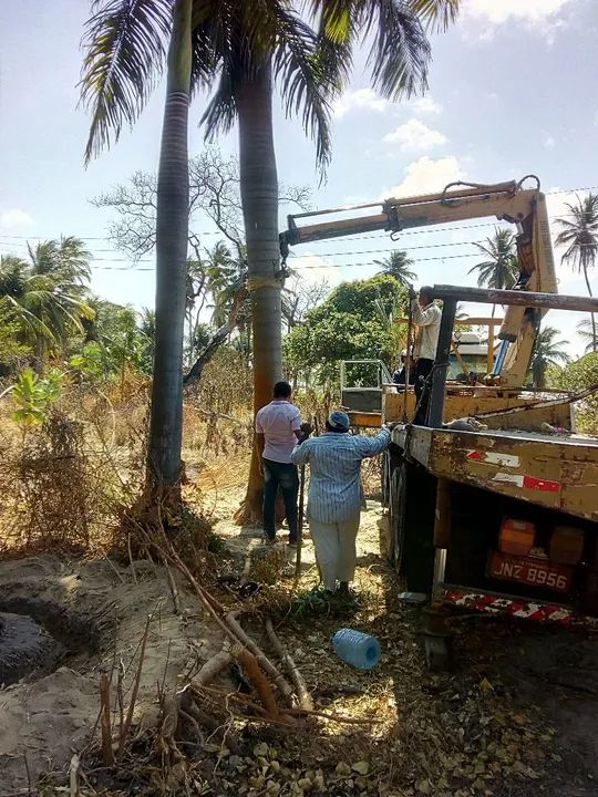Serviço de podas. - Foto 3