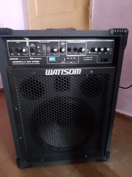 Caixa amplificada Wattson D 300