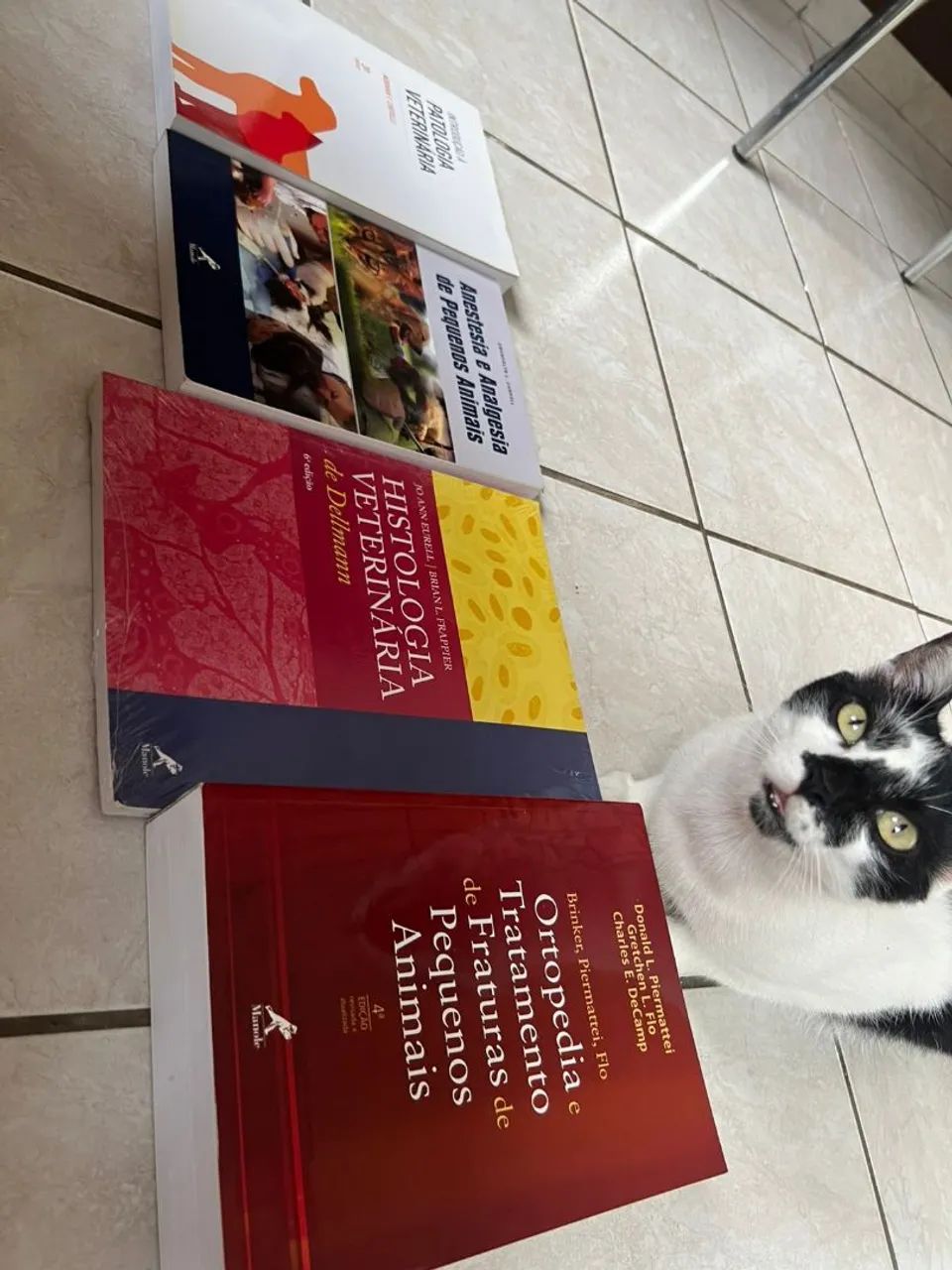 Livros de Veterinária - Histologia, Anestesia, Ortopedia e Patologia