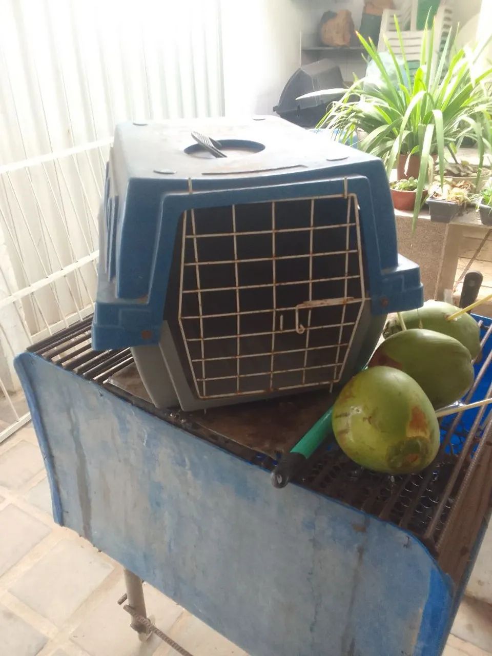 Para animal - Foto 4